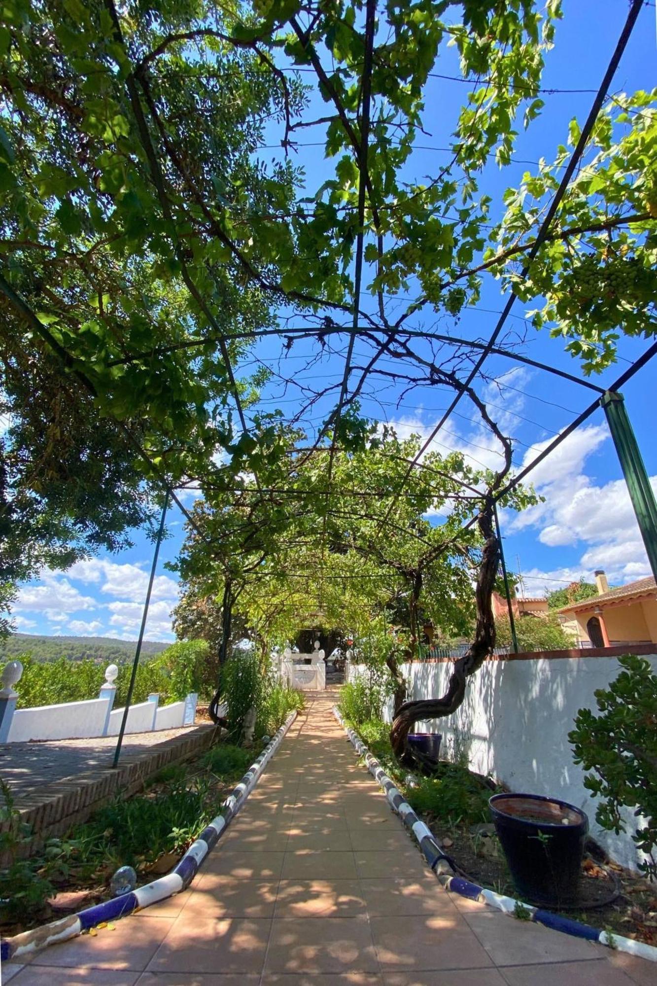 Casa Magnolia, A Rural Paradise House With Pool アルジーラ エクステリア 写真
