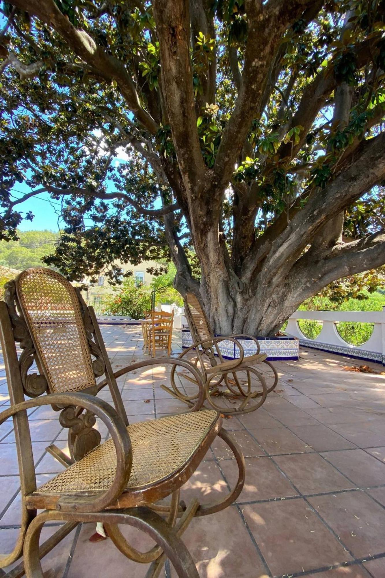 Casa Magnolia, A Rural Paradise House With Pool アルジーラ エクステリア 写真
