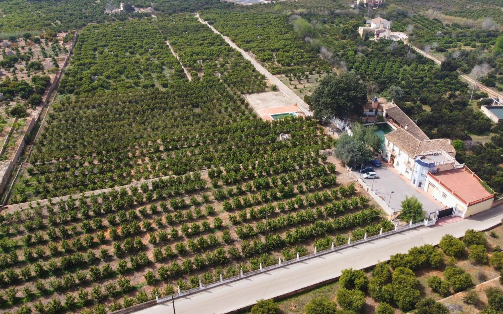 Casa Magnolia, A Rural Paradise House With Pool アルジーラ エクステリア 写真