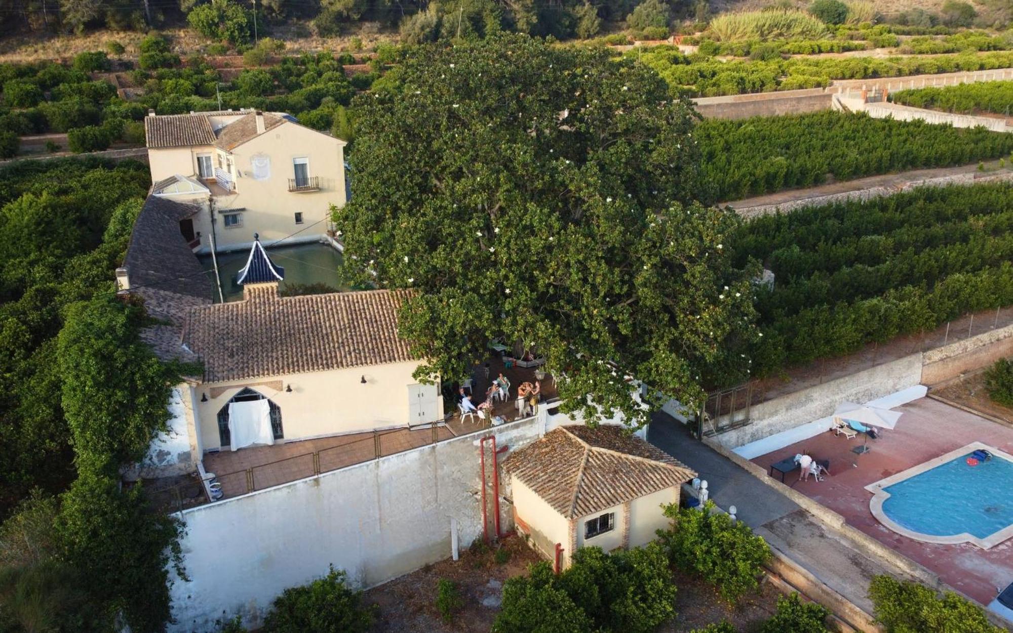 Casa Magnolia, A Rural Paradise House With Pool アルジーラ エクステリア 写真